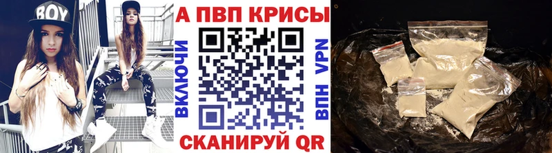 Альфа ПВП СК КРИС  Болгар 