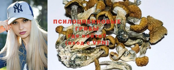 MESCALINE Алзамай